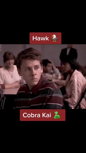 #cobra_kai336 #cobrakai #farcas #mntmariann #hawk #hawk🦅
