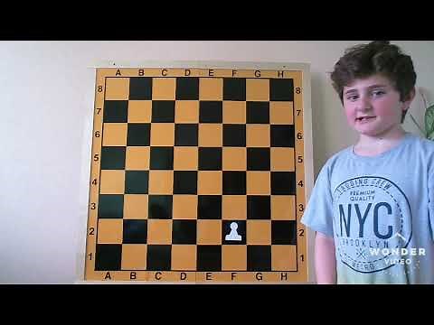 Schach für Anfänger. Die ersten Regeln I Schachromatt