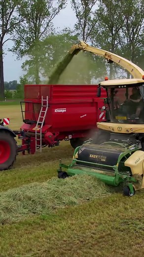 Александр Техно on TikTok