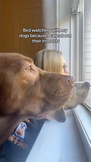 Morning bird watch 🐦‍⬛