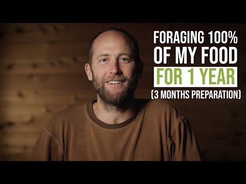 The Year of Foraging - 3 Months Preparation Stage