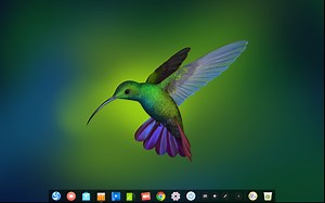 Deepin Linux 画面美极了 使用