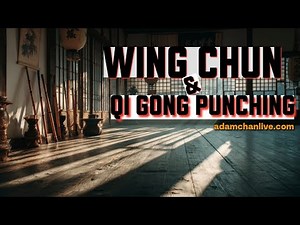 Punching Methods: Wing Chun, Hsing Yi, Qi Gong - Adam Chan