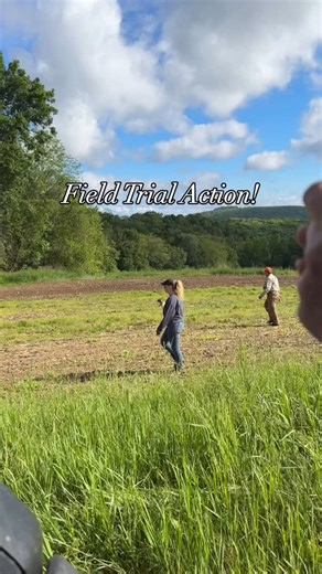 190 reactions · 20 comments | Field Trial Action! #proplansportingdogs #birddogs #fieldtrials | Midnight Kennel | Facebook