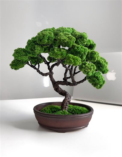 Preserved Moss Bonsai Tree in Ceramic Pot | Handmade Japanese Zen Tabletop Decor | No Watering Low-maintenance Greenery Gift - Etsy
