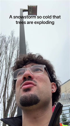 Snowstorm's Impact: Trees Exploding in Extreme Cold