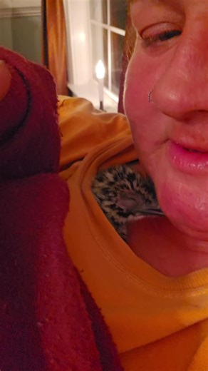 baby emu #1 has hatched. so happy and super excited..#emu #chick #incubator #farmlife