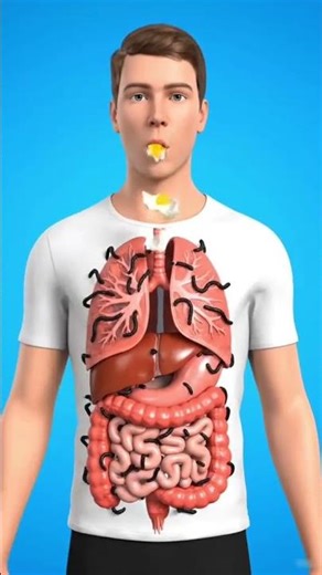 #shortvideo #animation #bodybuilding #body #funny #athletes #satisfying #bodybuilders #video