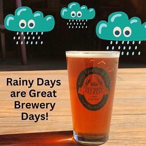 Rainy Days are Great Brewery Days! Visit Cold Spring Brewery and bring your friendly leashed pet. #coldspringbrewery #beer | Historic Cold Spring Village
