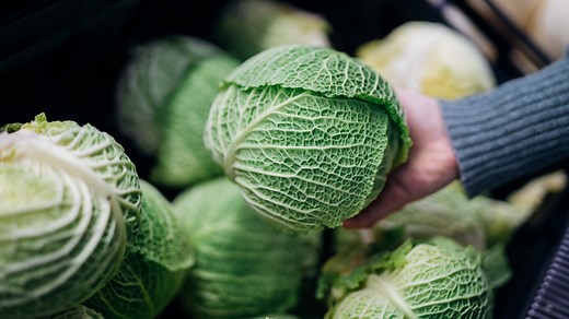 How To Core Cabbage Like A Total Pro