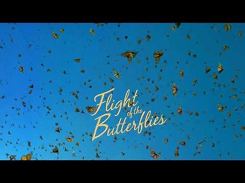 Flight of the Butterflies | Official Trailer