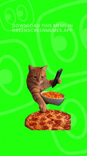 DM “MEME” to get the 4K download 📥 Cat on phone eating pizza Green Screen Meme Get this video in 4K with our app: GreenScreenMemes.app — now on iOS 📲 #memes #memesdaily #greenscreen #fyp #meme