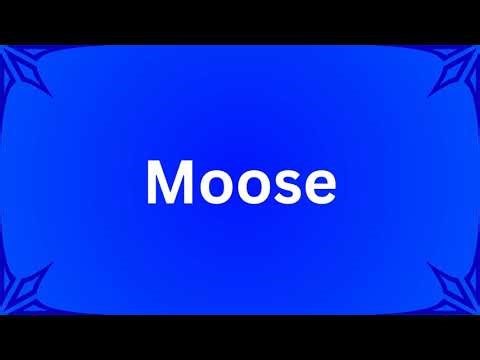 Moose Pronunciation (American English 🇺🇲)