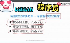 马士兵老师给IT程序员的完整职业发展解决方案，带你从入行到入职，从初级程序员到高级架构师，从中厂到大厂！