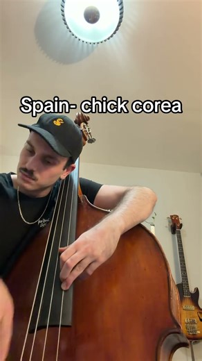 Spain by Chick Corea- upright bass version #jazz #bassfeatured #music #spain #musician #bassist