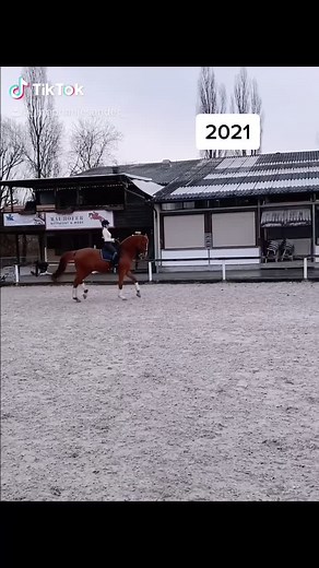 How?😂 #trend #dressagehorse #dressage #horsie #viral #foryoupage #foryou #fypシ #￼passage #how?