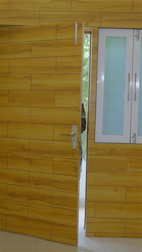 Exploring the Life of Prince Harry and Meghan Markle