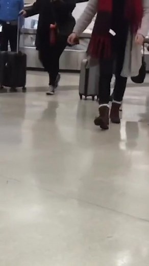 Normal dogs VS My dog 😭😤