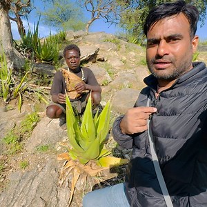 361K views · 7.3K reactions | Oh brother, eating this thing causes diarrhea! #africa #viralpost2025 #viralvideoシ #viralvideochallenge #foodporn #viral #trending #wildlife #food #foodie #meat | Urban vlogger | Facebook