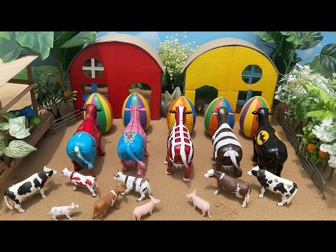 WADIDAU‼️PROSES POTONG SAPI KURBAN | PROSES MELAHIRKAN CESAR SAPI & DOMBA| Cow Videos