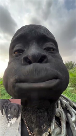 ultra black pro max #like #comments #subscribemychannel #please