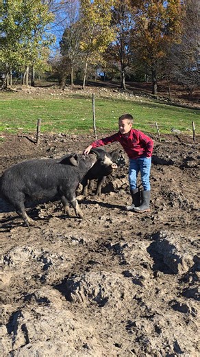 1.2K views | Bruce Gordon on Reels | Facebook