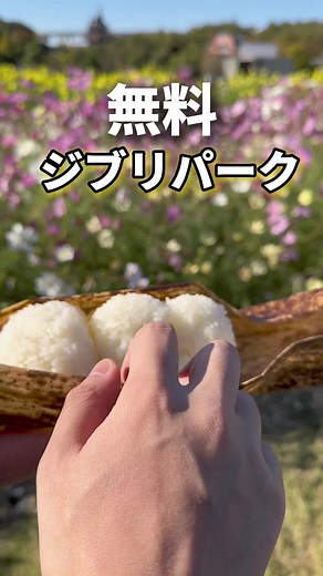 ジブリパークの魅力とお土産情報