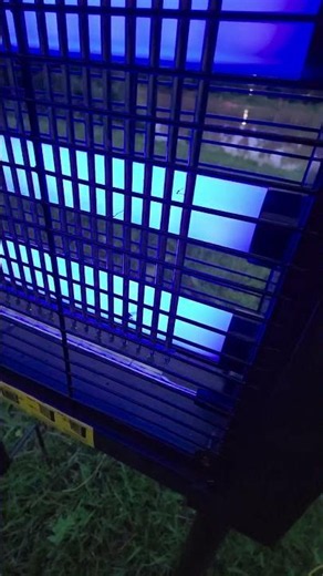 We Tried to Tell You — The Bug Zapper Works (Live Proof)