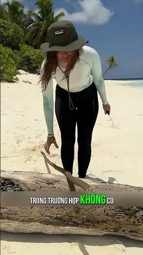 Stranded on a Deserted Island: Remember These 4 Life-Saving Survival Tips! #interestingfacts