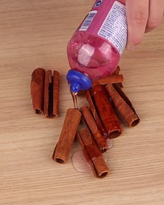 520K views · 3.5K reactions | Mix cinnamon with dishwashing liquid, and everyone will want to try this great trick! | Diary de Recipes | Facebook