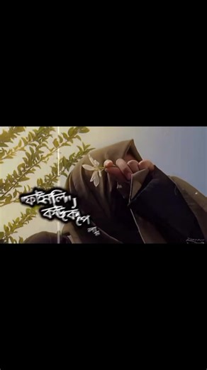 🌻✿Sunflower ✿🌻 (@imgirls18)’s videos with original sound - 🌻✿Sunflower ✿🌻