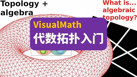 代数拓扑入门 | What Is...Algebraic Topology? | Visualmath