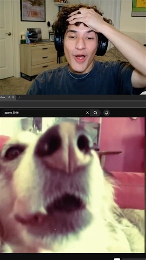 I BECAME THE AUTO TUNE DOG! 🐶 #comedy #dog