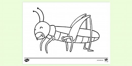 Cute Grasshopper Colouring Sheet