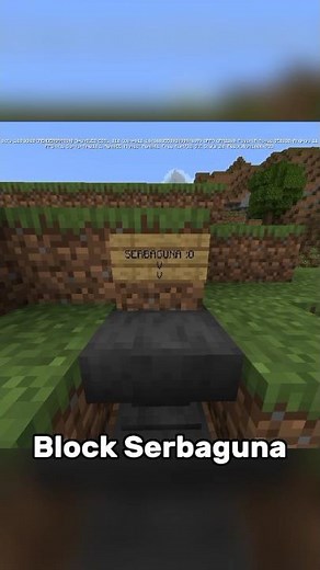 Bug Duplicator Anvil