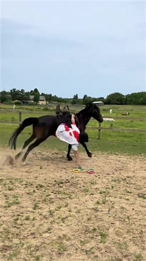Enhancing Core Strength in Equestrian Sports