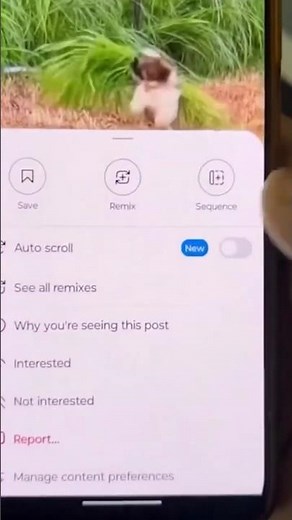 How to Turn On Instagram’s New Auto Scroll Feature (Step-by-Step) #shorts