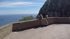 351K views · 4K reactions | Cap Carbon Bejaia 2019  -Abonné vous sur ce lien merci :  << https://youtu.be/PjsNXroj17s >> | Bejaia photos | Facebook