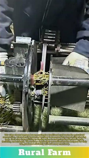 Rural Innovation: Bamboo Broom Making at the Production Base