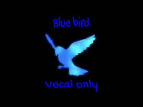 Blue bird (Naruto) - Vocal only
