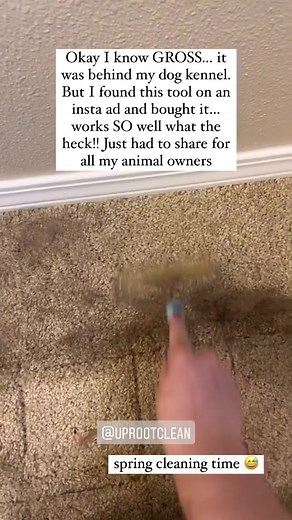 Early Spring Cleaning with Uproot | Deep Clean ASMR