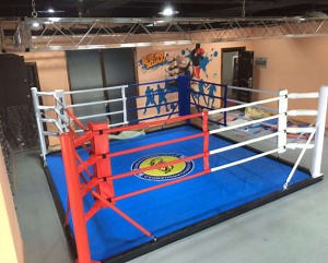 [Hot Item] Factory Directly Sale Floor Mounted Boxing Ring, Competition Gym Equipment