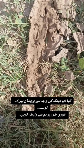 Omega Pest Control Services on TikTok