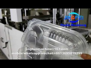 PP Food Box and Lid, Plastic Thermoforming machine for Food Container and Fruit Box