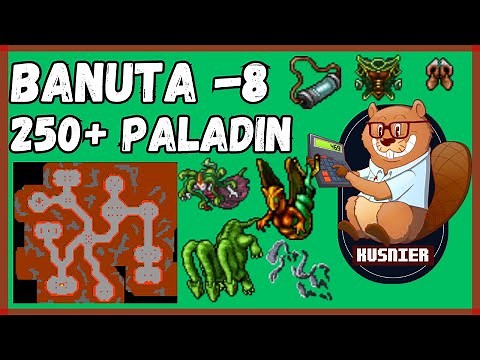 Deeper Banuta -8 (bottom floor) | 250+ Paladin | Tibia