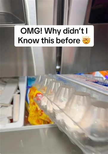 Kitchen Hack: Use Ice Cubes to Fix a Noisy Fridge