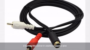 zdyCGTime S-Video 4 Pin Mini DIN Y Splitter Cable Gold Plated Combo 4 Pin Mini DIN S-Video Male to 2 RCA Male Audio Y Splitter Extension Adapter Cable(5ft/1.5M)