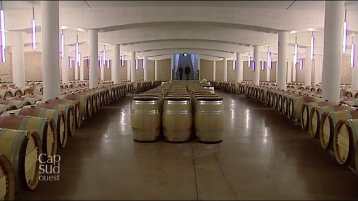 Le Château Cheval Blanc comme vous ne l'avez jamais vu. Un reportage de 2 minutes pour visiter et comprendre pourquoi le fruit de sa vigne en fait un des fleurons du vin de Bordeaux. Immersion dans un lieu unique aux mille secrets. Bonne journée à tous ! | Bouger A Bordeaux