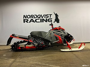 Arctic Cat M-sarja M8000 Alpha Mountain Cat 800 cm³ 2021 -  - Moottorikelkka - Nettimoto