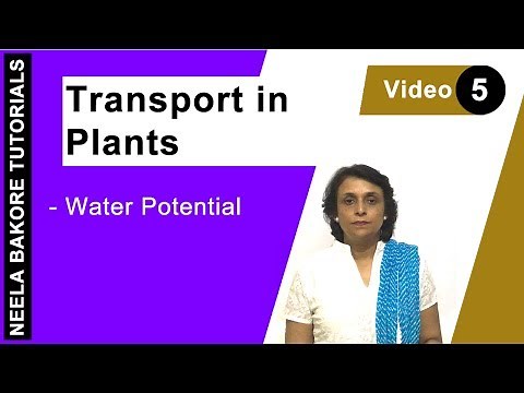 Transport in Plants | NEET | Water potential | Neela Bakore Tutorials
